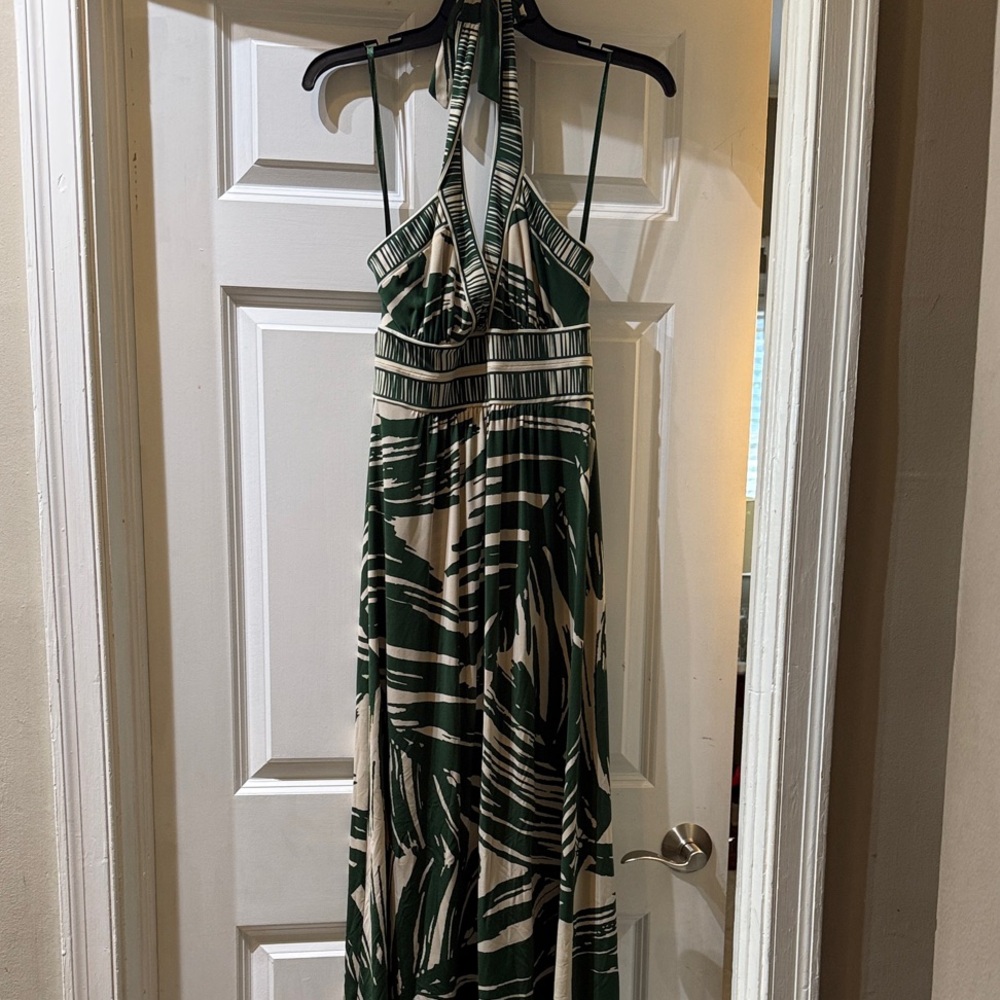 BCBGMaxAzria Green and Cream Maxi Dress - NWOT